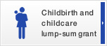 Childbirth and childcare lump-sum grant